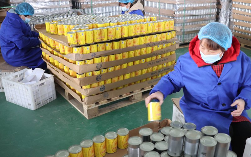 国际贸易代理：你的出口业务好帮手